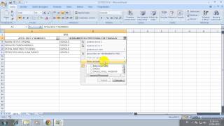 preview picture of video 'Filtros personalizados en Excel'