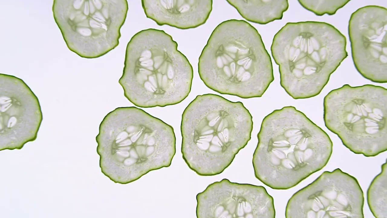 서브웨이 쉬림프 컬렉션 홍보영상