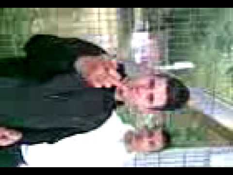 SCHANZENJUNGZ   57  saf57,cava LB       187