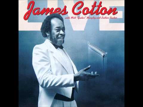 James Cotton - midnight creeper - live