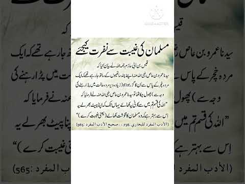 islami talimat|islami quotes in urdu #shortvideo #whatsappstatus #shorts