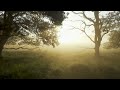 PAUL TAYLOR - ENCHANTED GARDEN (2003) Relaxing Jazz Music Healing Vibes