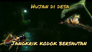 Download lagu hujan gerimis di desa dengan suara kodok dan jangkrik mp3 Download lagu hujan gerimis di desa dengan suara kodok dan jangkrik mp3
