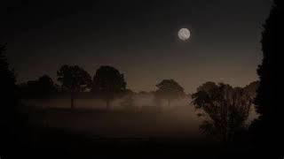 Juliane Werding  -  Nebelmond (1988) (English lyrics below)
