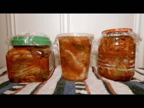 Kimchi Timelapse 2020-09-30