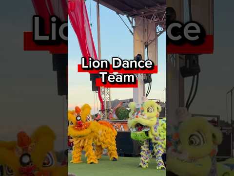 Play Video Youtube Video