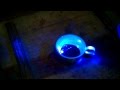 2000mW(2W) blue laser 445nm boils coffee instantly ...
