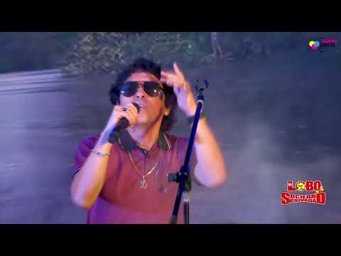 El Lobo Y La Sociedad Privada - Dolor Y Lágrimas 💔😢