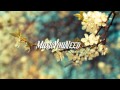 Night Lovell - Forget About Me 