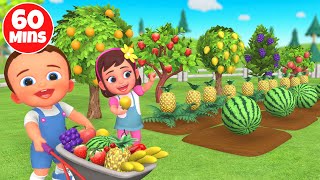 Learn Fruits, Colors, Shapes, Numbers & More! 60 Min Educational Video for Babies and Kids Toddlers