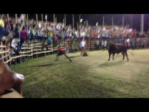 Bullfighting in Costa Rica