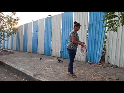 Early Morning Routine | Vlog |