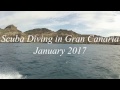 Diving in Gran Canaria (Delphinus Diving School), Delphinus Diving School, Gran Canaria, Spanien, Kanaren (Kanarische Inseln)