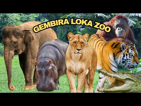 GEMBIRA LOKA ZOO YOGYAKARTA 2025 | THE BEST ZOO IN INDONESIA | FAMILY TOURISM IN JOGJA