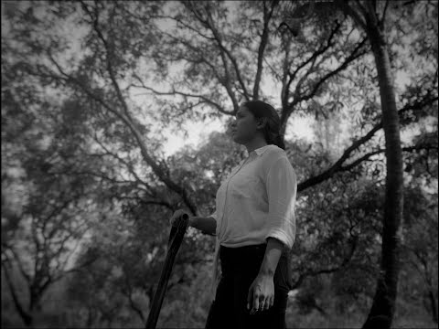 Adam Malvi Blame Adam - Organic Manic