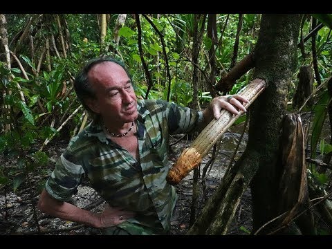 FIELD TRIP WITH PATRICK BLANC IN SOLOMON ISLANDS - GUADALCANAL & VANGUNU