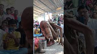 परम पूज्य संत श्री सियाराम बाबा चोला सजाते हुए #trending #youtubeshorts #shorts #santsiyarambaba #yt