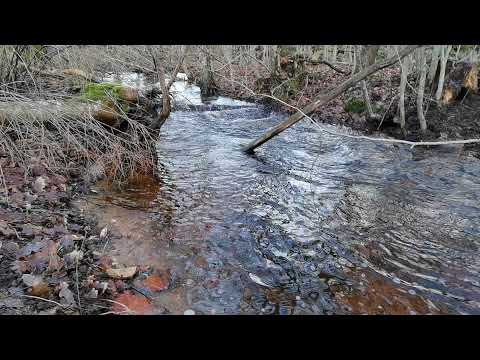 ÅTLABÄCKEN - Johannishus (Mölleryd) - Kortfilm - 2022-01-10 - Huawei P40 Pro - Ronneby - Blekinge