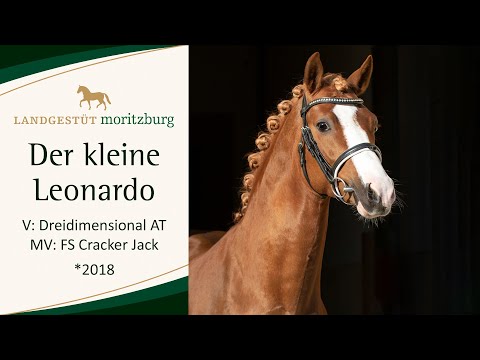 DER KLEINE LEONARDO v. Dreidimensional I AT - FS Cracker Jack 2023
