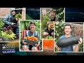 Giving Gardens Teen Grows Produce To Feed Hungry Families