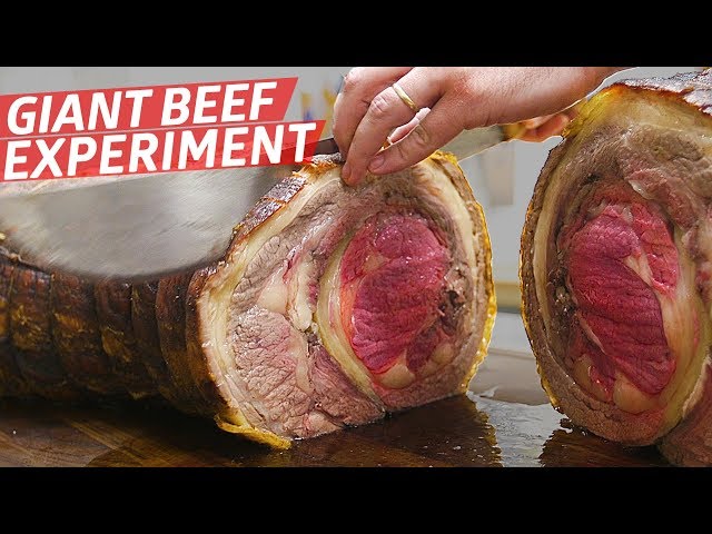 Video Pronunciation of Chetta in English