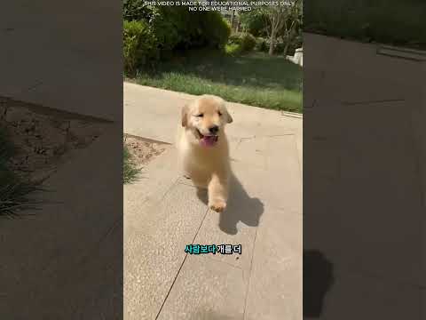 😱🎂 케이크가 깨지자마자 수백 마리의 거미가 쏟아져 나왔어요! 🕷️