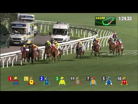 3/3/2021 (471) Nunchuks - Vincent Ho