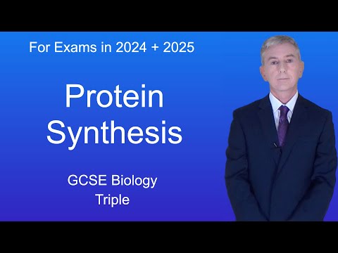 GCSE Biology Revision "Protein Synthesis" (Triple)