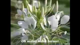 Download lagu Oh Melati - Eddy Silitonga mp3 Download lagu Oh Melati - Eddy Silitonga mp3