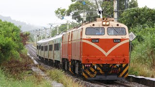 環島之星觀光列車｜2次 三民~玉里
