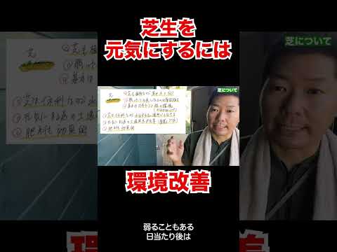 厚くて緑の芝生を育てるにはどうすればよいでしょうか？経験豊富な庭師が知っている5つの良いアクション!  庭園