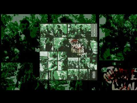 CHRONIC SHNXMAN - OUTHERESMOKIN'FORESKINS FREESTYLE