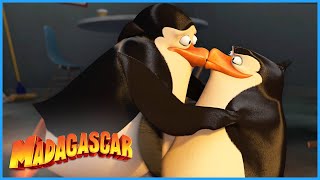 Private Never Gets Left Behind! | DreamWorks Madagascar