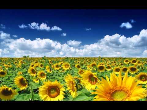 Johannes Werner - Summer Calling