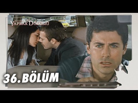 Yaprak Dökümü 36. Bölüm - Full Bölüm