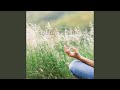 Ambient Sound To Recharge Your Soul Nature Sounds