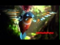 Magic Fly HD Dolby Surround 5 1