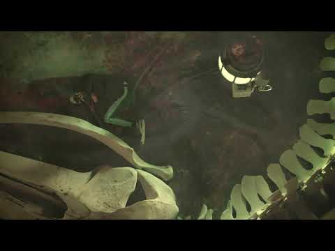 Sueño - El Sable de Simón