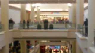 preview picture of video 'GRAND OPENING DAY the Mall at BAY PLAZA COOP CITY BRONX, NY'