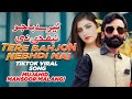 Tere Bahjon Nebhdi Nai Mujahid Mansoor Malangi New Saraiki Punjabi Song Official Song
