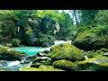 Full Nature Sound Brain Therapy, Sleep Relaxation, Insomnia, Difficulty Focusing and Stress