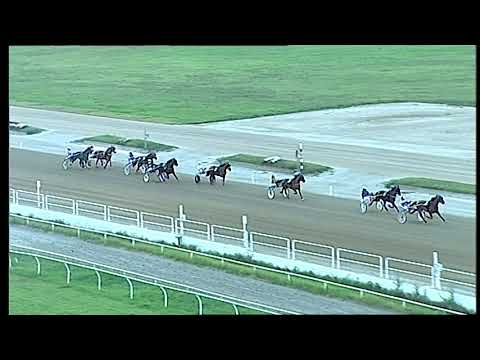 Napoli Trotto 06/08/2021 - 1ª prova di qualifica