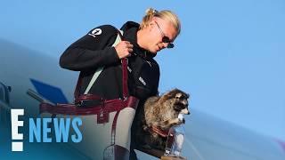 World Cup: Erling Haaland Took Home Taxidermy Raccoon—Because Why Not | E! News