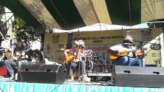 South Memphis String Band - Worry 'bout Your own Backyard (Crescent City Blues and BBQ Fest, 2011)