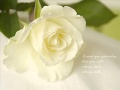 I'll Be Seeing You ~ Johnny Mathis ~ 1959