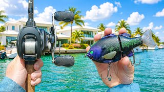Fishing NEW Spots LOADED With EXOTIC Fish (Crazy Bites)