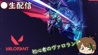 【ライブ】ふるぱばろ【こちゃんこ】