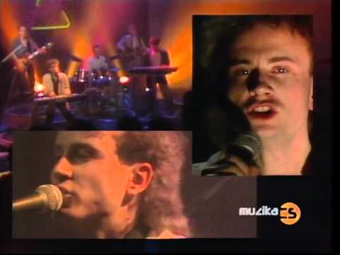 TEAM - Dievčatá zozadu