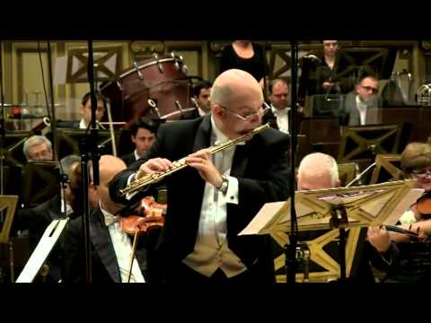 @ionbogdanstefanescu  G  Bizet  -  Carmen Fantasy