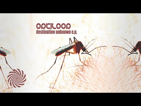 Optiloop - Destination Unknown